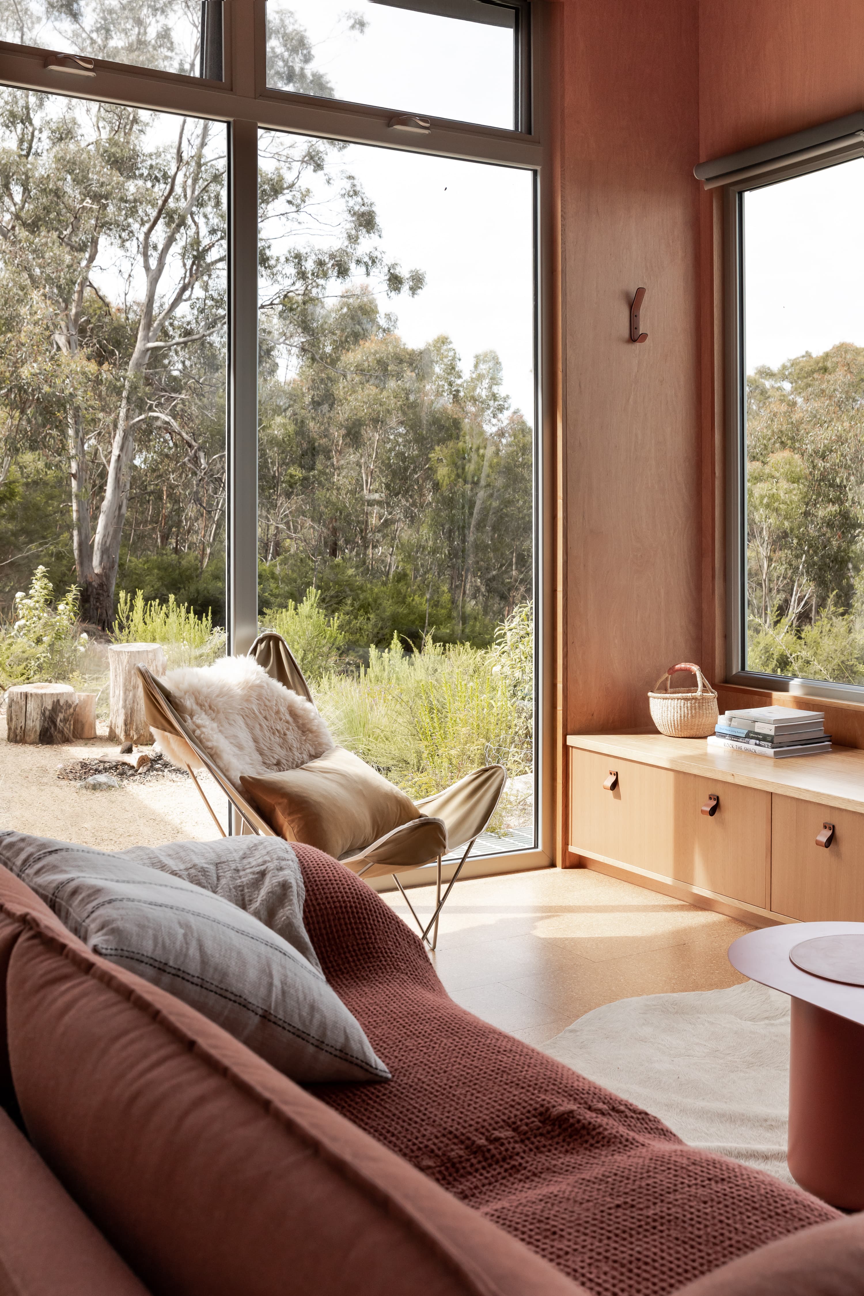 Sunlit timber living room with bush views